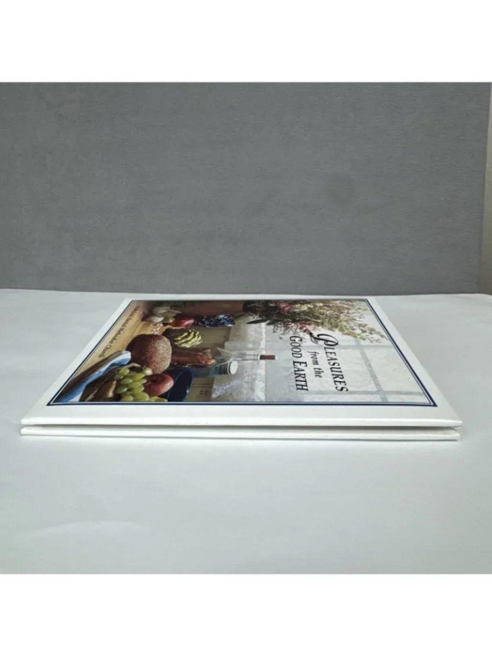 2010 Pleasures from the Good Earth Cookbook Oakfield NY United Methodist Church